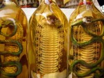 Top Unusual Aphrodisiacs 140711 Aid