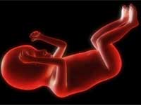 The Brutal Butchery Of Unborn Kids Part II